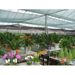 High Quality Green Shade Cloth/Agricultural Shade Net