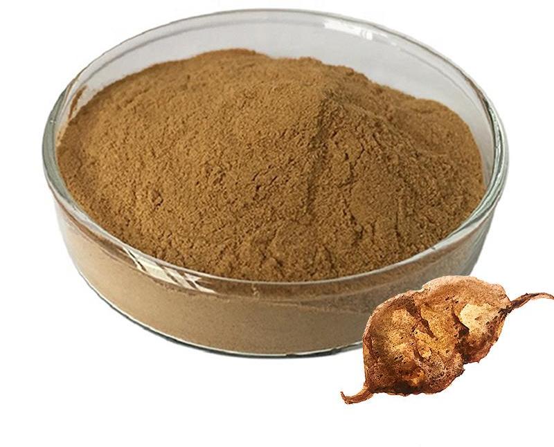 Polygonum multiflorum extract for hair