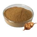 Polygonum multiflorum extract for hair