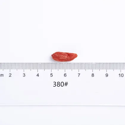 Healthy food goji berries