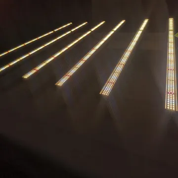 Full spectrum 6bars grow light for Indoor Plants