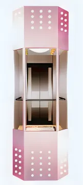 Irregular Sightseeing Elevator Capsule Elevator