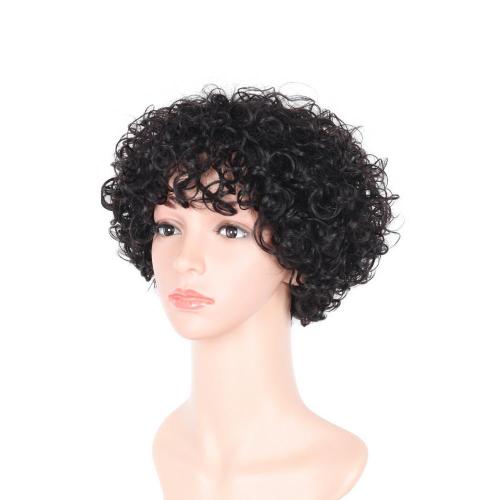 100% NATURAL VIRGIN REMY HUMAN HAIR  CURLY WIG