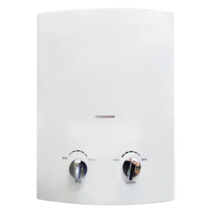 Flue type gas water heater for camping