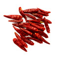 Boa qualidade quente Picante Seco Chaotian Chili