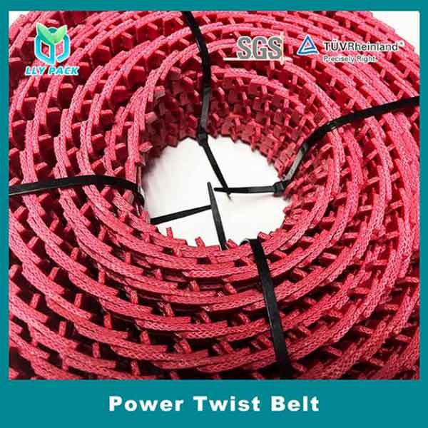 Power Twist Belt (5)