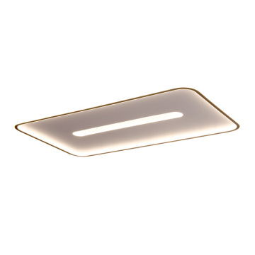 LEDER Led Simple Ceiling Lights