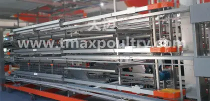 New Chicken Feeder System