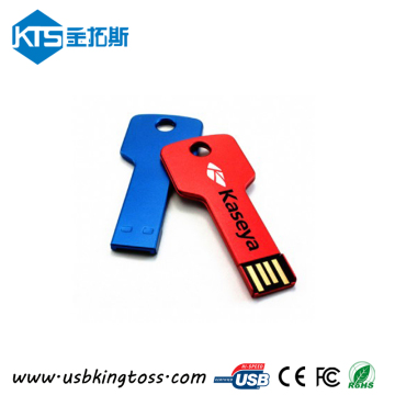 Promotion CE Custom Key USB Flash Drive
