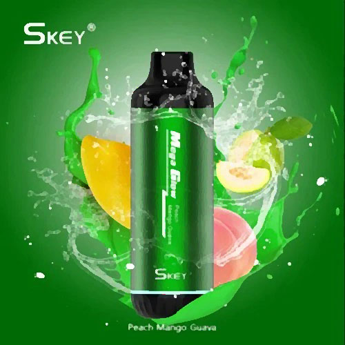 Rechargeable Refillable 5000 Puff Skey Vape Device