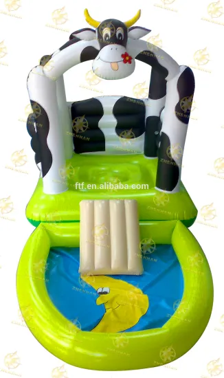 jumping Trampolines and kids castle dry