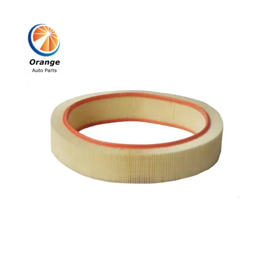 China OEM Factory Air Filter for Mercedes Benz - Good Price 0030945404/20948704/C41173/LX114/A0030945404