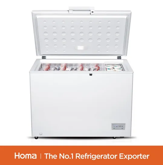 BE1-316 household White chest freezer-1