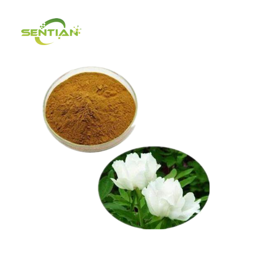 Paeonia Lactiflora Extract Powder for Natural Health
