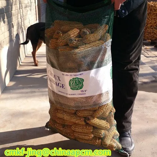 2015 hot product PP mesh bag with lable made in china