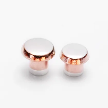 High Quality Relay Electrical Contact Rivets - Trimetal Silver Contact Rivets for Automotive Electric Appliances