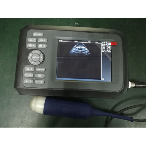 Scanner à ultrasons portable vétérinaire