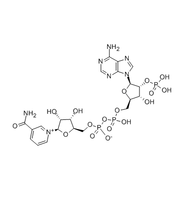 High Quality Triphosphopyridine Nucleotide 53-59-8 On Sale