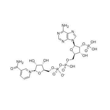 Nucleótido Trifosfopiridina de Alta Pureza CAS 53-59-8 En Stock