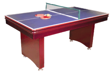 Dining-Table Style Tennis Table (TE-11)
