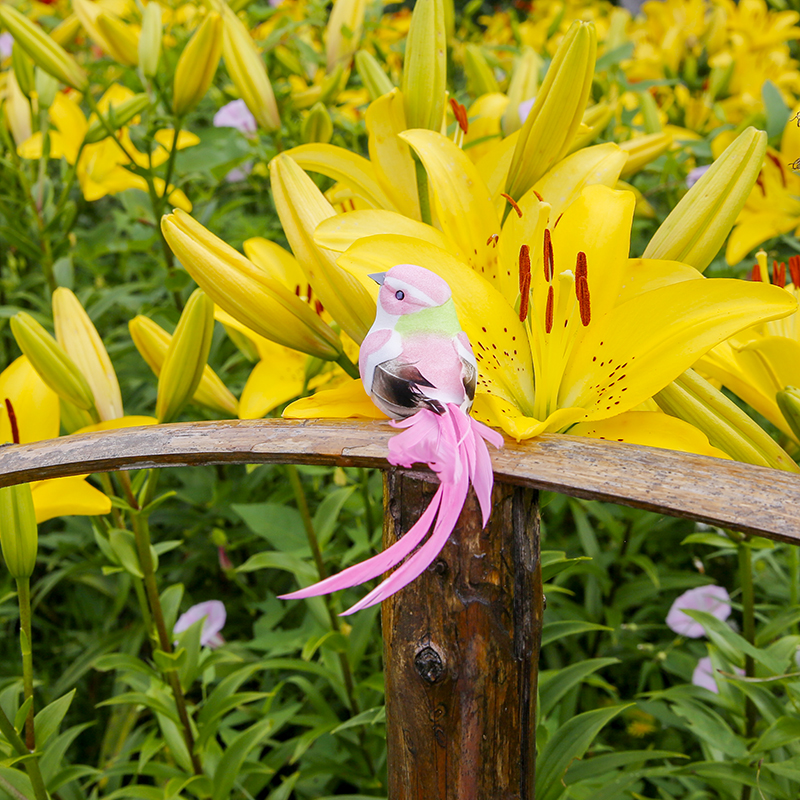 Bird bath decoration