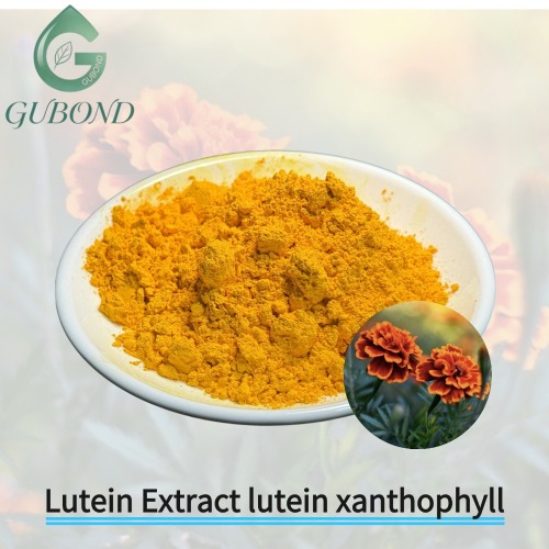 Экстракт лютеина, лютеин-ксантофилл для здоровья глаз.