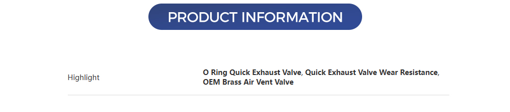 Quick-Exhaust-Valve2_02