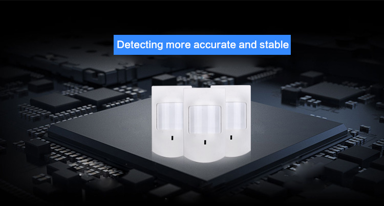 Long Distance Motion Detector