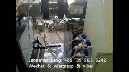 Professional Plastic Profile Machine PVC Window Sealing Strip Extrusion Line