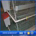 En typ Automated Broiler Chicken Cage