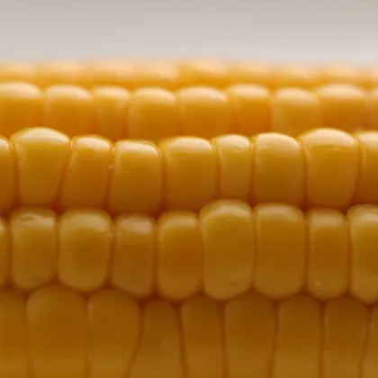 Healthy corn food to eats
