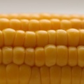 Healthy corn food to eats