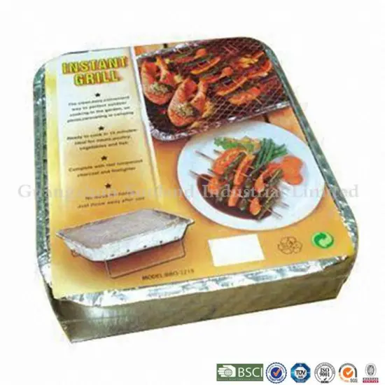 Multifunction nonpollution disposable grill with LFGB approval