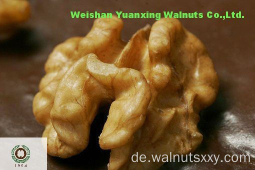 Walnusskerne Lichthälften erfreulich des Lebens