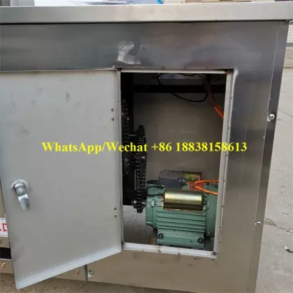 Industrial Fish Washer: Silver Carp and Snakehead Fish Scale Remover Machine