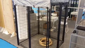 2016 classical 6ft metal dog kennel,chain link fence dog kennel/welded dog kennel,galvanized dog kennel,powder coated dog kennel
