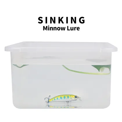 Top Selling Salt Water Bass Lures: Drone Bait Shad for Ocean Boat Fishing in Japan