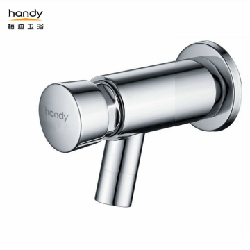 Wall-mounted hand-press delay self-closing faucet