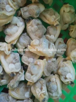 Frozen boiled clam meat bulk packing in shellfish