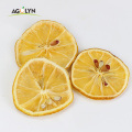 /msite/products/detail/productid/62873527/id/1337194.html