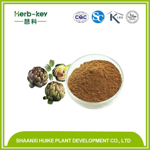 Artichoke Extract, Globe Artichoke Leaf Extract Powder