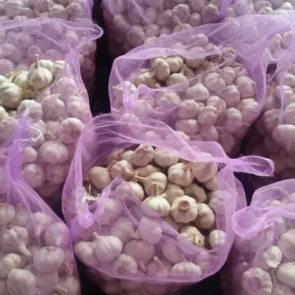 10kg Mesh Bag Nature White Garlic to Malaysia