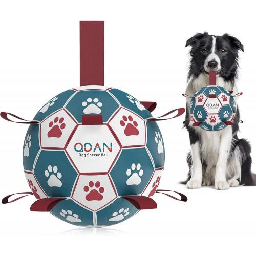 Giocattoli per cani palla da calcio pallone da calcio