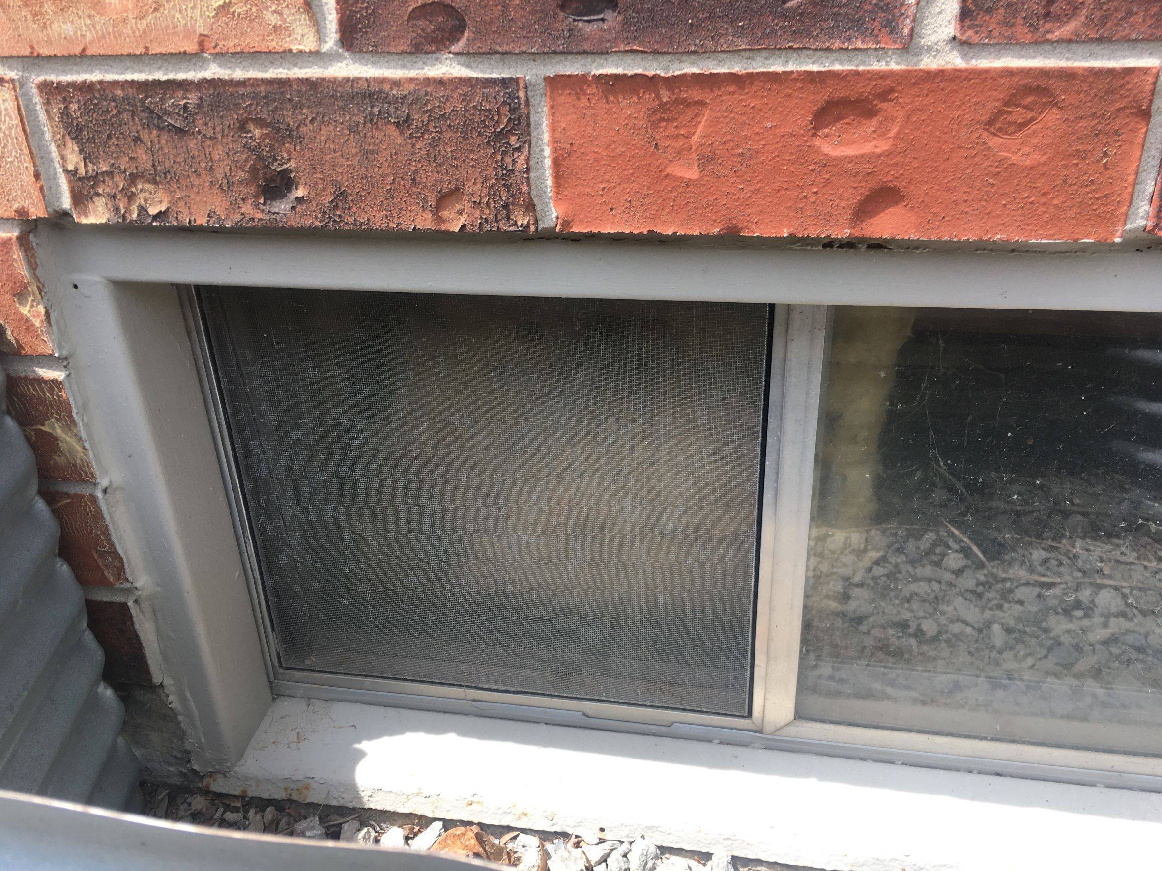 Basement window