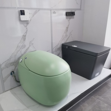 Smart Sanitary Egg Toilet Solutions