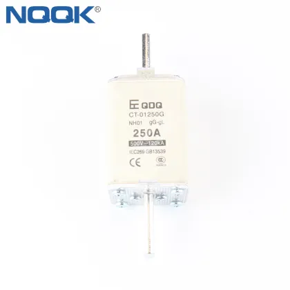 250A NH1 500V gG CE Fuse CT-01250G