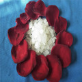 /msite/products/detail/productid/56525109/id/658413.html