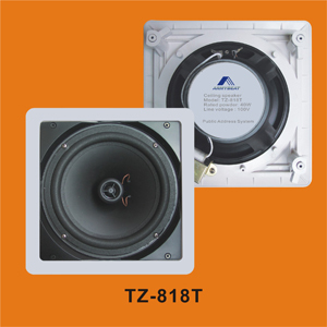 Speaker TZ-818T