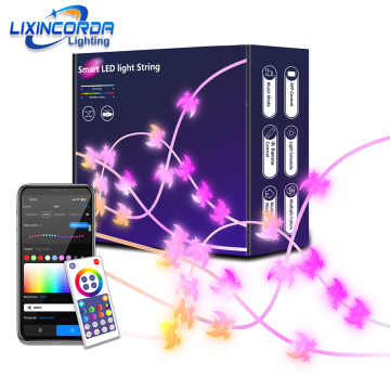 RGBIC LED String WS2812B Bluetooth USB Music Lights for Home Decor
