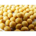 Decrease Blood Sugar Ingredients Phytosterols Beta-Sitosterol Soybean Extract 95% Powder Factory